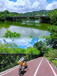 深圳銀湖山郊野公園 • 徒步、騎行