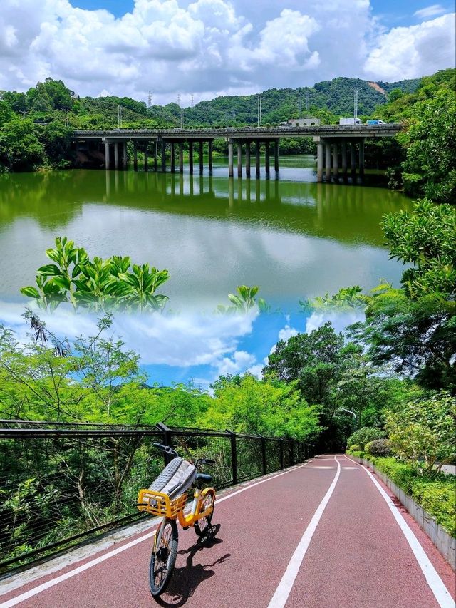 深圳銀湖山郊野公園 • 徒步、騎行