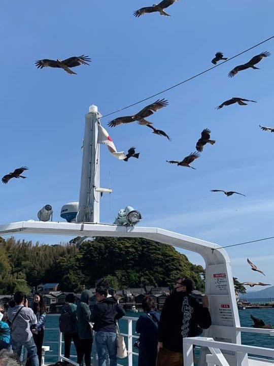日本必去景點 天橋立 伊根舟屋
