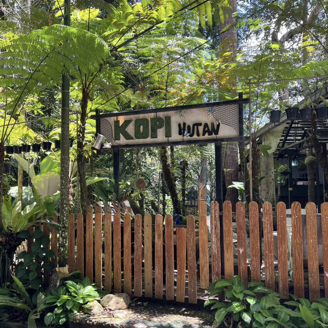Forest Vibes & Highest-Perched Coffee – My Visit to Kopi Hutan, Penang