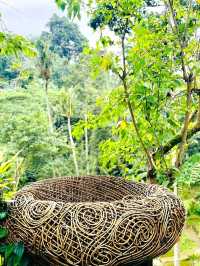 Greens That Breathe: A Morning at Tegallalang