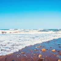 Summer Escape to Ōarai Isosaki Shrine (大洗磯前神社) – Where the Divine Meets the Sea** 🌊⛩️