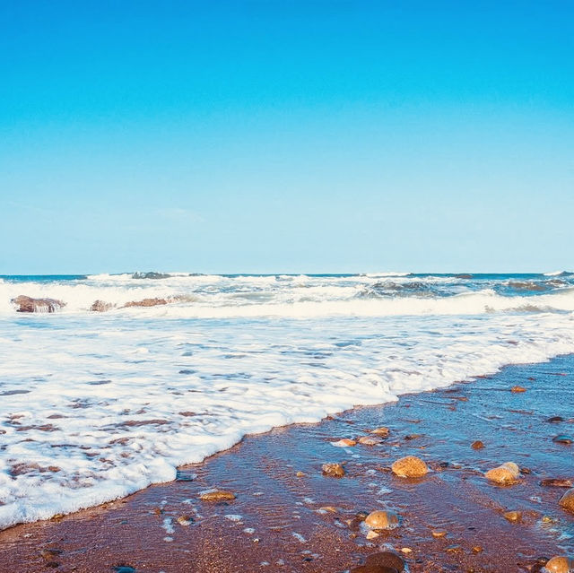 Summer Escape to Ōarai Isosaki Shrine (大洗磯前神社) – Where the Divine Meets the Sea** 🌊⛩️