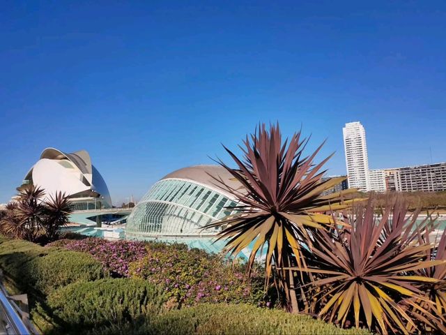The Umbracle is a Whole Mood 