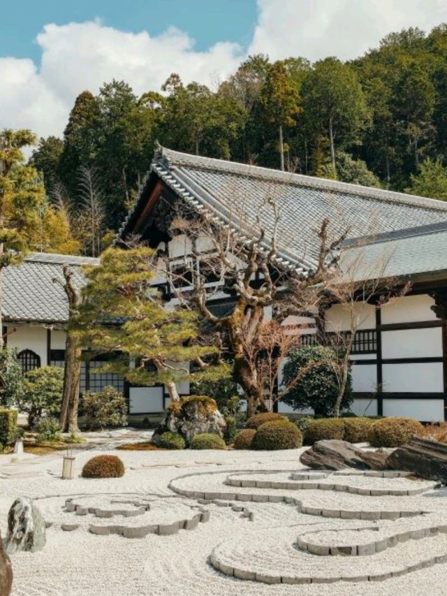 4個京都⛩️🇯🇵小眾寺廟漫遊路線 🌿