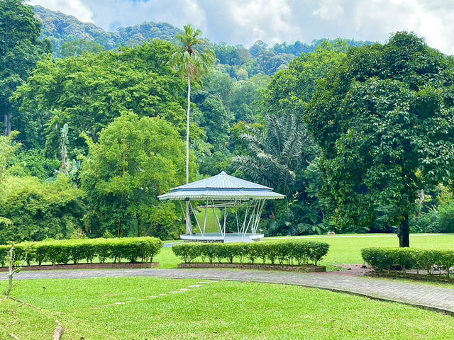 A great place to relax or get some light exercise👍👫🌳🌲😎