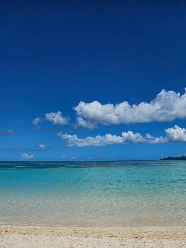 竹富島～夏の思い出～