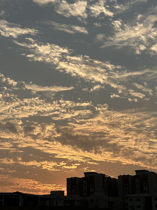 Alexandria: Burned Knowledge By The Sea