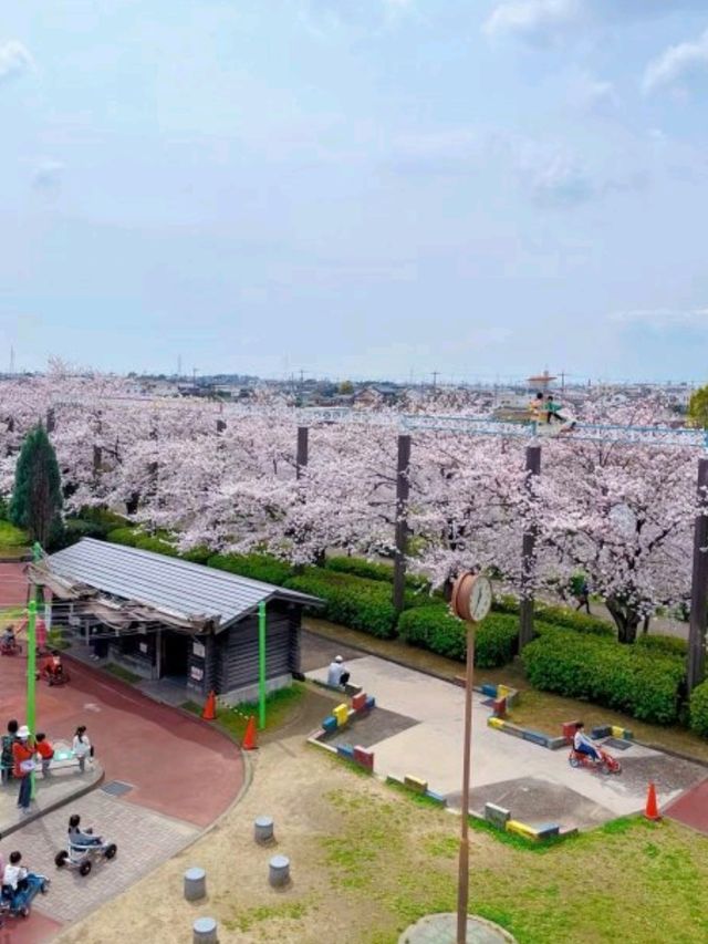 日本名古屋🇯🇵🏯空中單車嘅夢幻之旅✨🚲