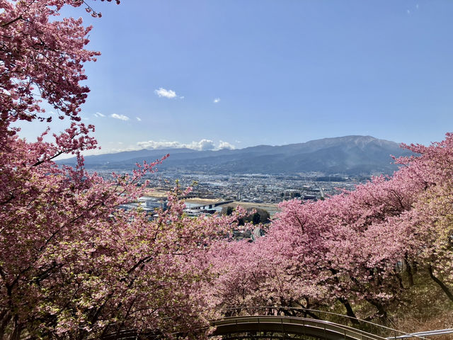 西平畑公園