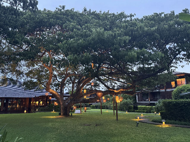 The Most Beautiful Andaz: A Blissful Retreat at Andaz Pattaya Jomtien Beach! 🌴✨