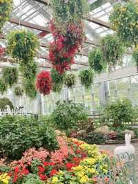 Mystery Garden Adventure in Begonia Bird Park