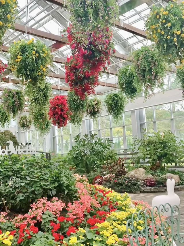 Mystery Garden Adventure in Begonia Bird Park