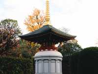 Senso-ji Temple