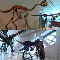 Royal Ontario Museum