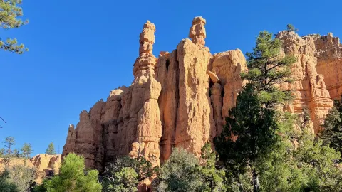 Red Canyon | Pink Ledges + Hoodoo Loop Trail Combo — traveler post in Kanab