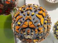 The Grace of Flight: The Insect World at Oxford's Natural History Museum