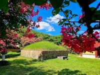 Daegu Park
