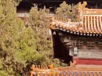 🏯 Let’s Go to Zhengding – Hebei’s Hidden Ancient City of Pagodas & Temples!