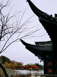 Slender West Lake – A Scenic Stroll Through Jiangnan Charm