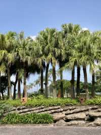 【弾丸‼︎】宮崎2日間の旅🏝️