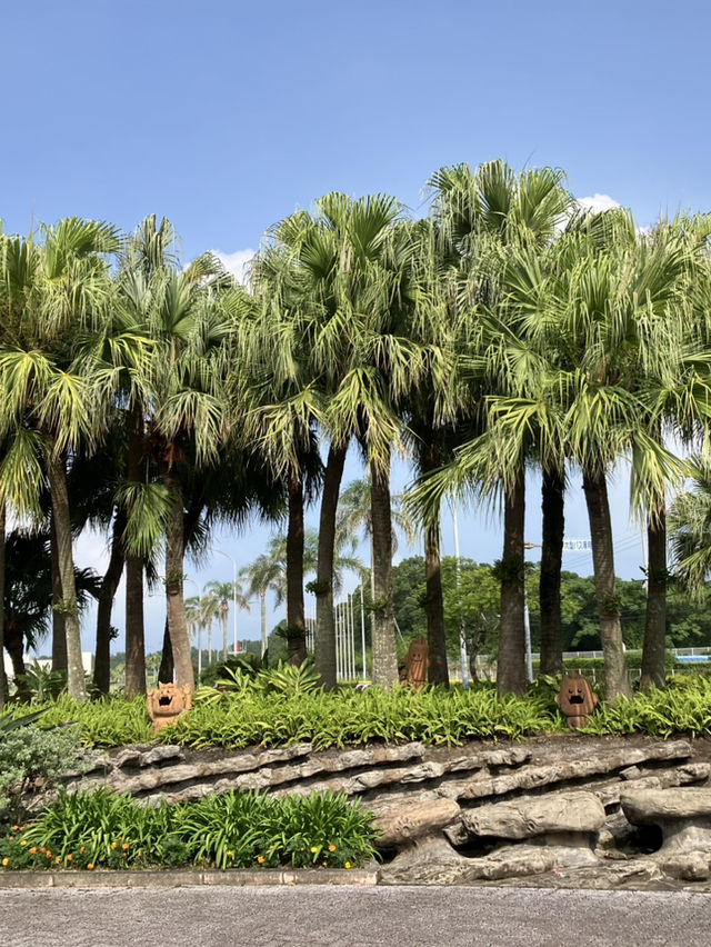 【弾丸‼︎】宮崎2日間の旅🏝️