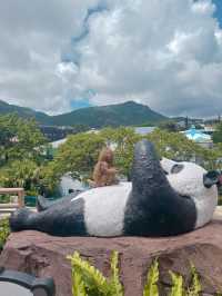 海洋公園一日遊 ｜熊貓寶寶超可愛🐼