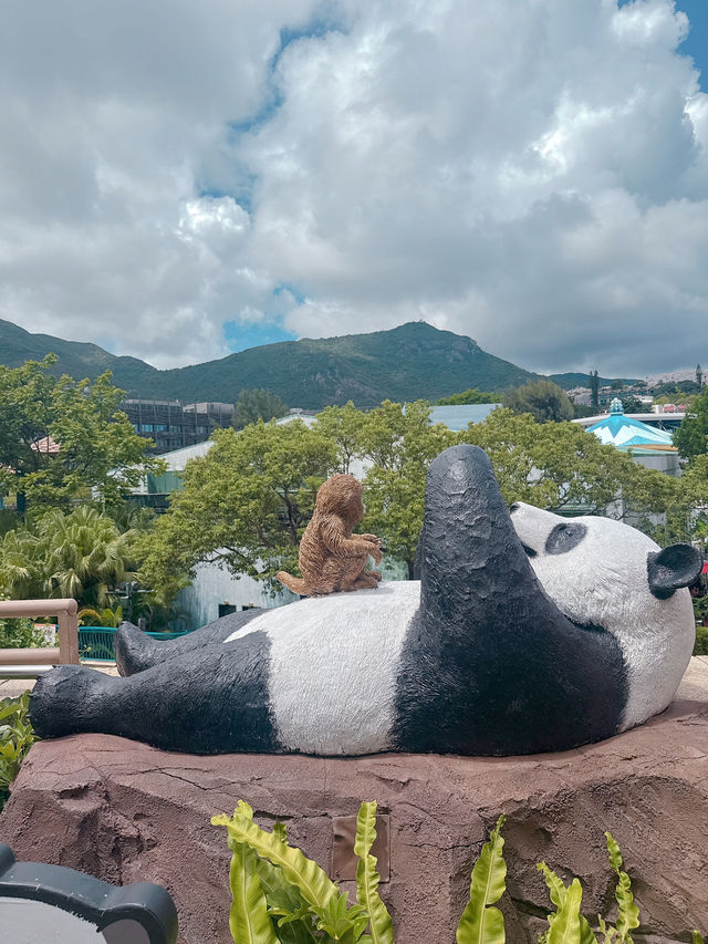 海洋公園一日遊 ｜熊貓寶寶超可愛🐼