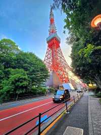 Stunning Sights of Tokyo Tower