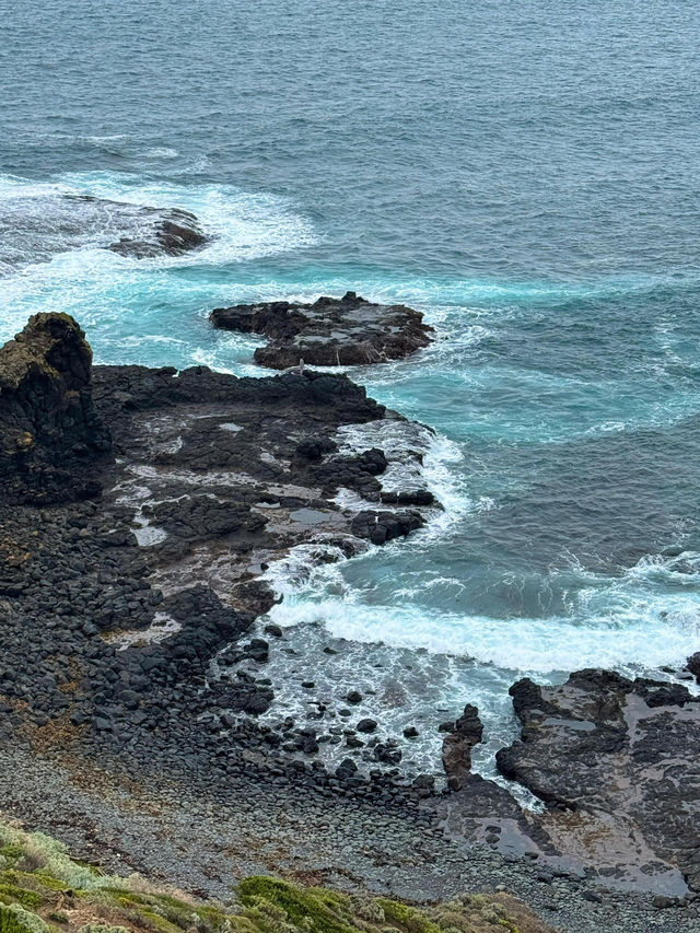 【莫寧頓半島｜海岸與葡萄酒交織的靜謐之旅】