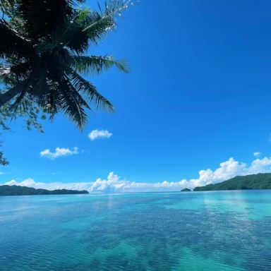 【中古】 海の楽園パラオ 時差なしの楽園】パラオ🇵🇼 | Trip.com パラオ