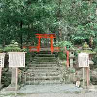 Kasuga Taisha Shrine : Nara’s Timeless Lantern Sanctuary