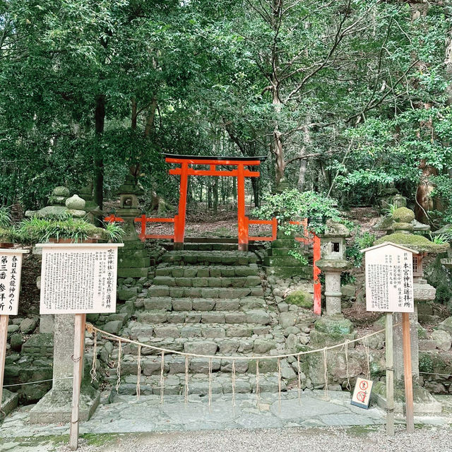 Kasuga Taisha Shrine : Nara’s Timeless Lantern Sanctuary