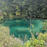 Plitvice Lakes National Park, Croatia