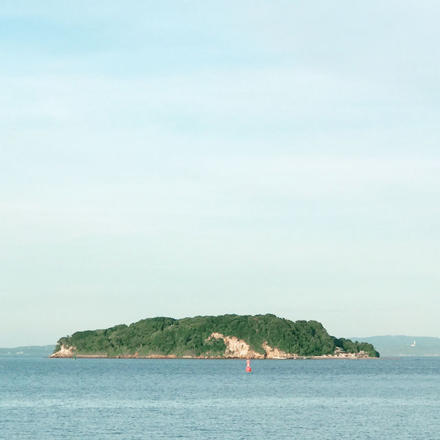 🏝️ 無人島・猿島での一日 : 横須賀　神奈川