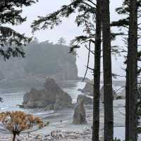 Olympic National Park (WA)