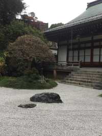 【鎌倉】絶景！マストで行きたい映える寺院と神社