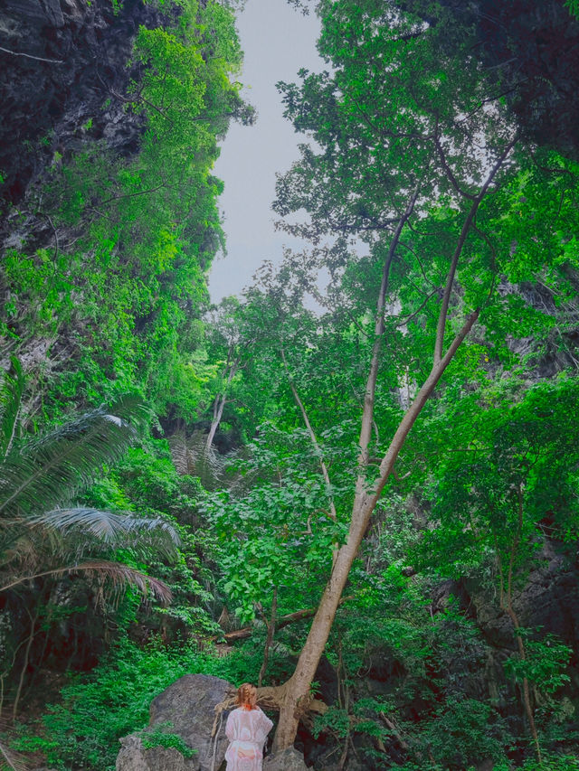 🇹🇭 태국에서 가장 유명한 섬은 바로 여기 🏝️