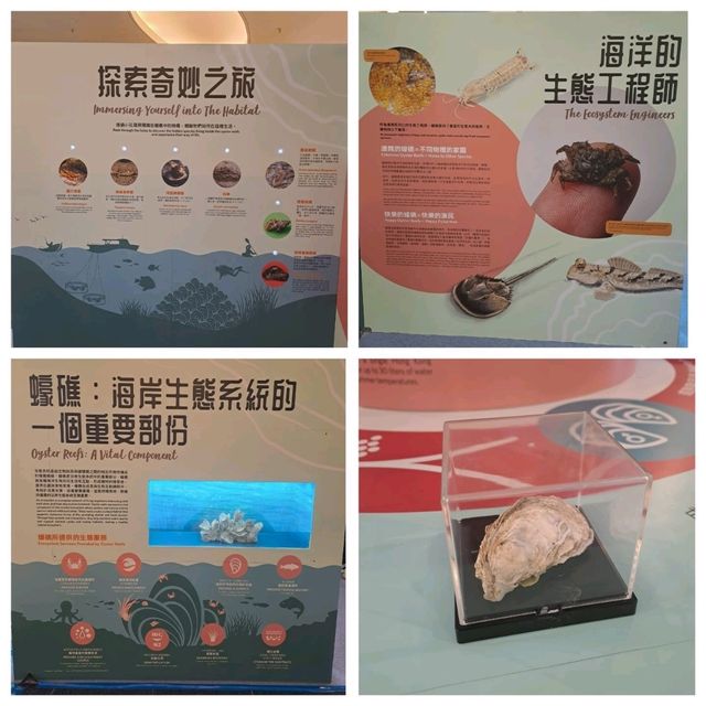 滄海遺珠展覽參觀的個人感受
