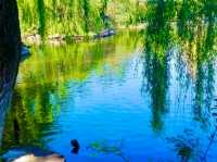 Xiuhu Park: The Heart of Yiwu’s City Life