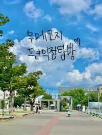🏪 일본 편의점 탐방 – 패밀리마트🍡🥤