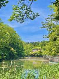 🎡🏰 도쿄 감성+테마파크 여행 ✨🌳