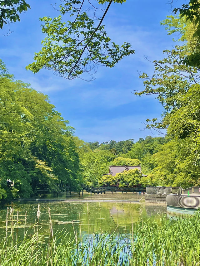 🎡🏰 도쿄 감성+테마파크 여행 ✨🌳