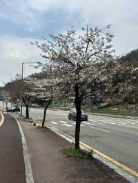 도심 속 힐링 산책, 명암저수지 🌿🦆