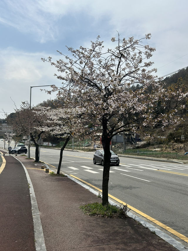 도심 속 힐링 산책, 명암저수지 🌿🦆