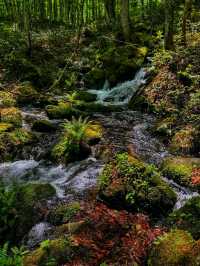 Lake Towada – A Mirror of Nature’s Beauty 🍂🌊