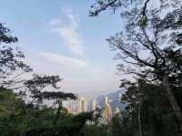 🍃 Peak Trail ที่อยู่บน Victoria Peak (The Peak)