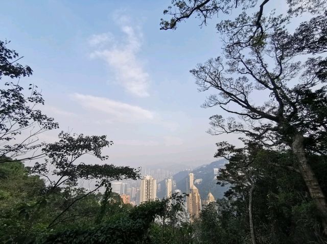 🍃 Peak Trail ที่อยู่บน Victoria Peak (The Peak)