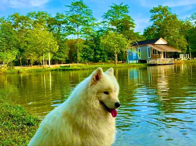 鄉村田園體驗：美蘇克農場（Mesook Farm）