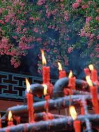 🌸 Dujiangyan – A Thousand-Year Symphony of Purple Blossoms 🌸